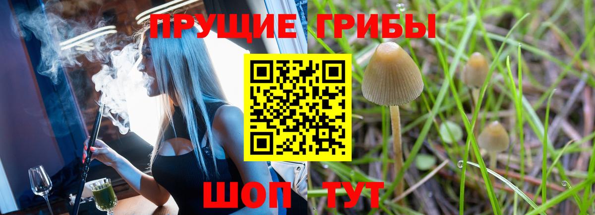 где продают   Галлюциногенные грибы Psilocybine cubensis  Галлюциногенные грибы мухоморы  Вход с VPN  Скопин 